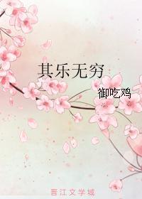 其乐无穷封面