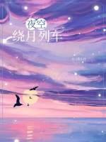 夜空绕月列车封面