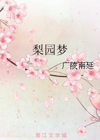 梨园梦封面