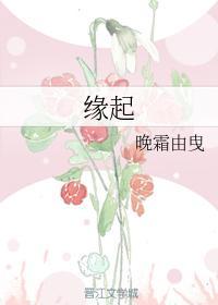 缘起封面