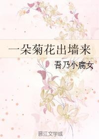 一朵菊花出墻来封面