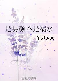 是男颜不是祸水封面