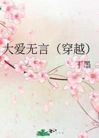 大爱无言封面