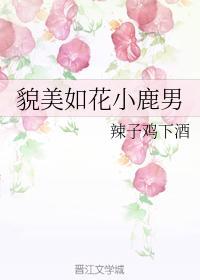 貌美如花小鹿男封面
