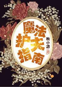魔法护夫指南封面