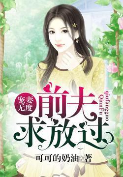 宠妻无度：前夫，求放过封面