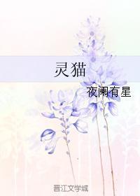 灵猫封面