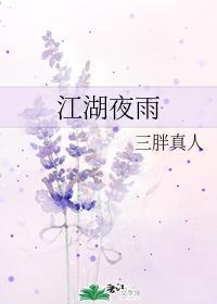 江湖夜雨封面