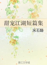 甜宠江湖短篇集封面