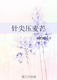 针尖压麦芒封面