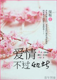 爱情，不过如此封面