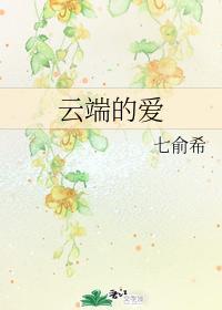 云端的爱封面