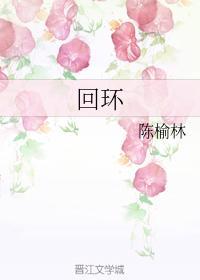 回环封面