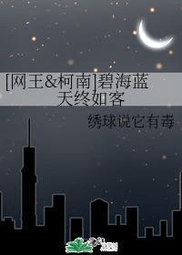 [网王柯南]碧海蓝天终如客封面