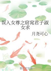 误入女尊之窈窕君子淑女求封面
