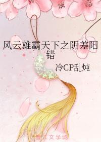 风云雄霸天下之阴差阳错封面