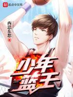 少年篮王封面