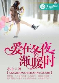 爱在冬夜渐暖时封面