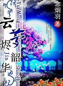 云梦烬韶华封面