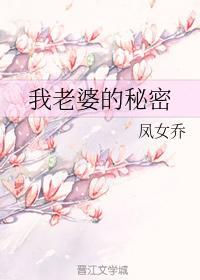 我老婆的秘密封面