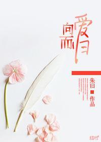 向爱而归封面