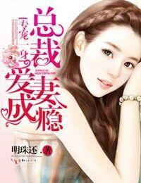 专宠一身：总裁爱妻成瘾封面
