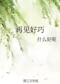 再见好巧封面