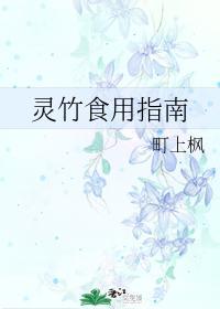 灵竹食用指南封面