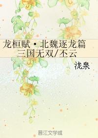 龙桓赋·北魏逐龙篇 三国无双封面