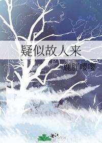 疑似故人来封面