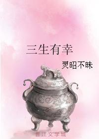 三生有幸封面