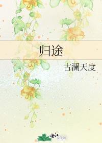 归途封面