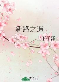 新路之遥封面
