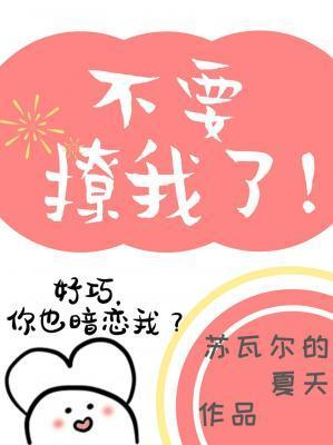 不要撩我了！封面