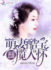 追爱总裁：萌妻酷宝揽入怀封面