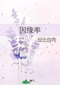 因缘率封面