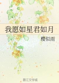 我愿如星君如月封面