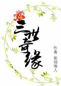 三世奇缘封面