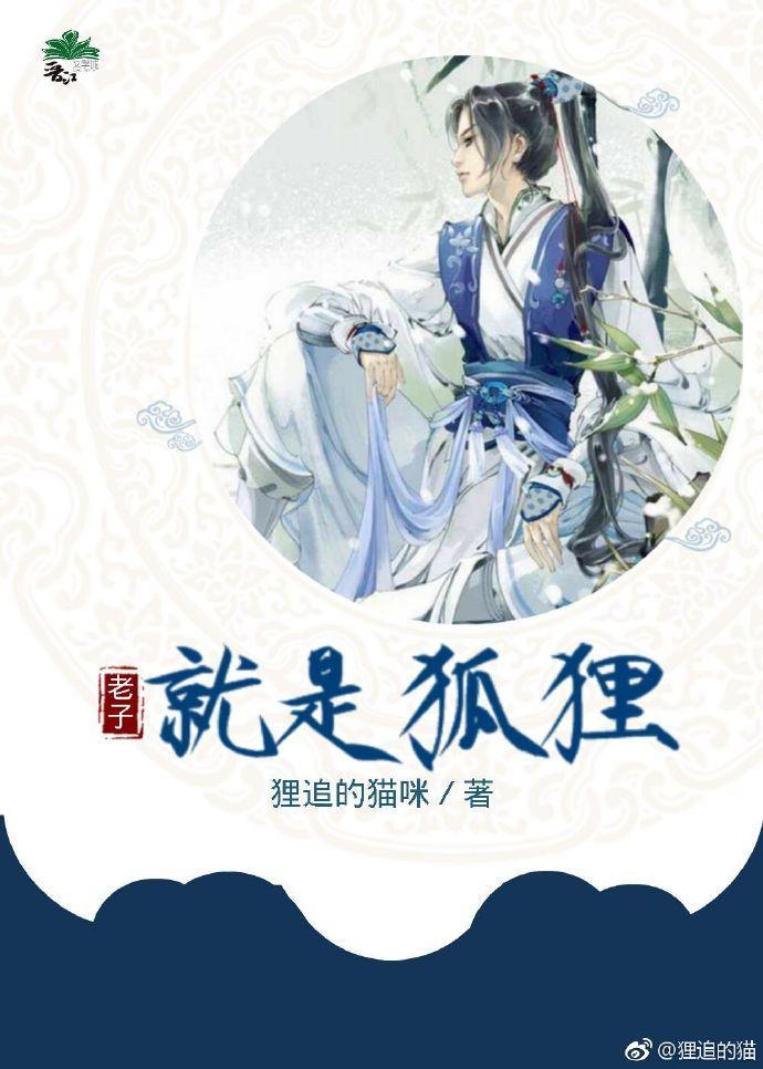 老子就是狐貍封面