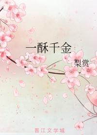 一酥千金封面