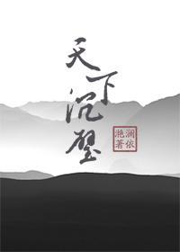 天下沈璧封面
