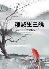 末泪魄封面