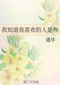 我知道我喜欢的人是你封面