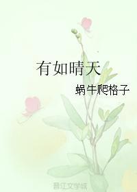 有如晴天封面