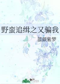 野蛮追缉之又骗我封面