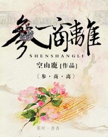 参商离（参商永离，伊怀永伤）封面