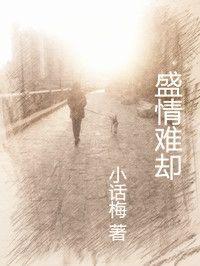 盛情难却封面