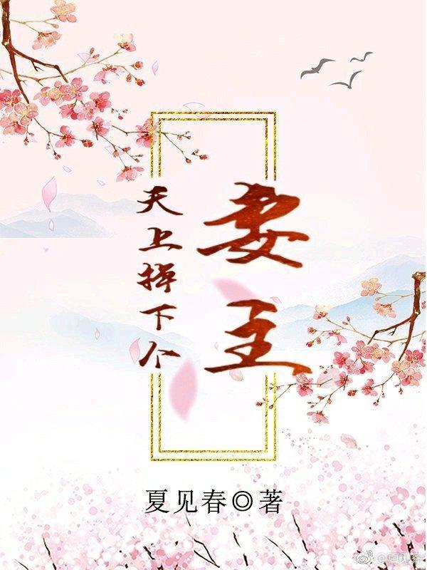 天上掉下个妻主封面