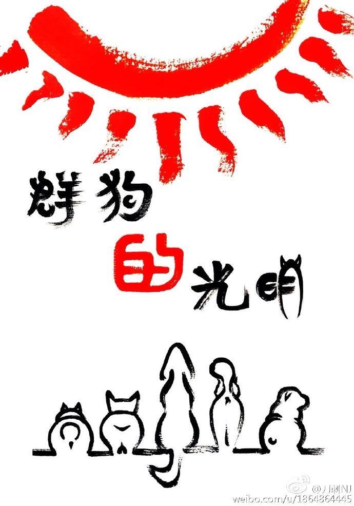 群狗的光明封面