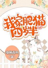 我家肥猫四岁半封面